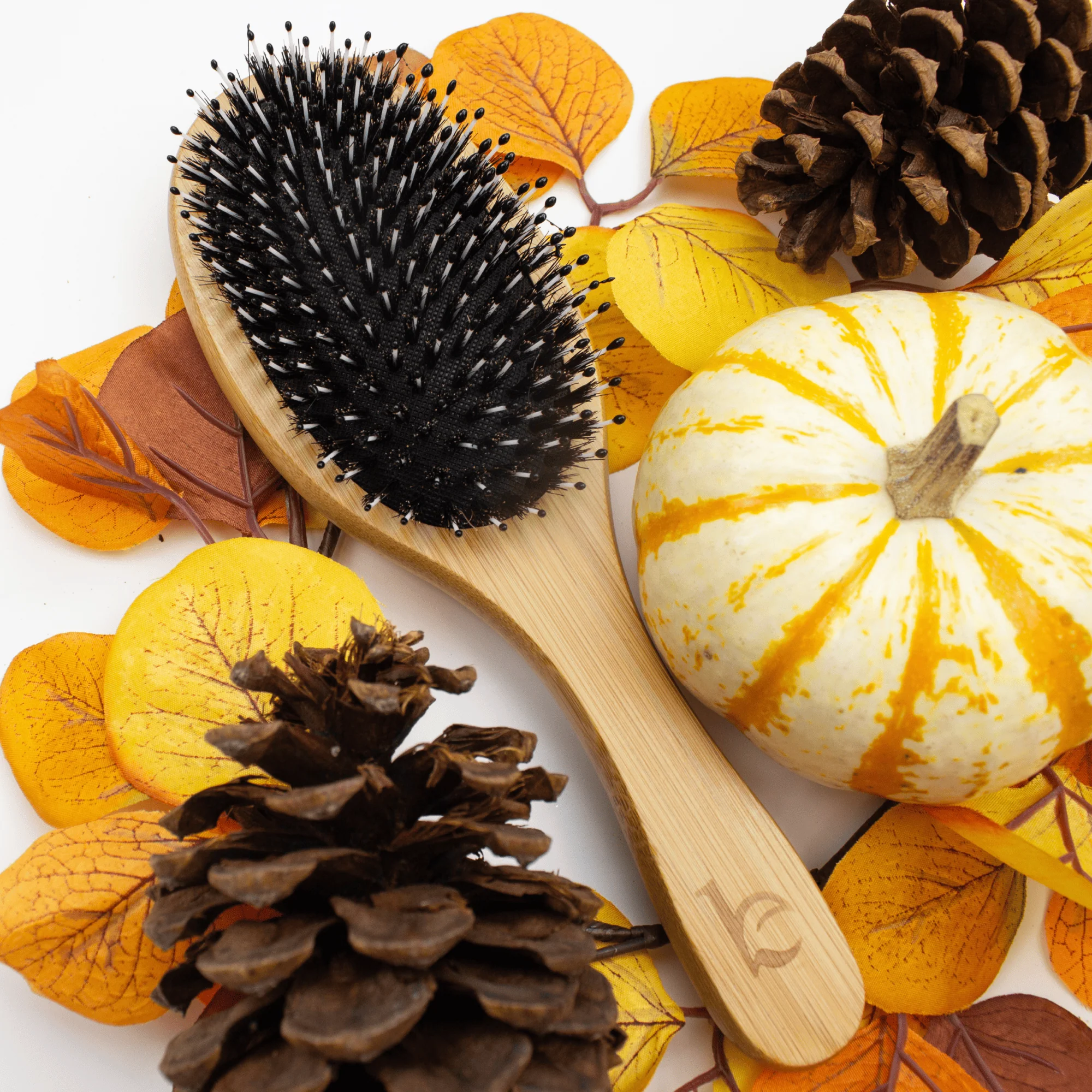 Boar Bristle Hair Brush - Image 9