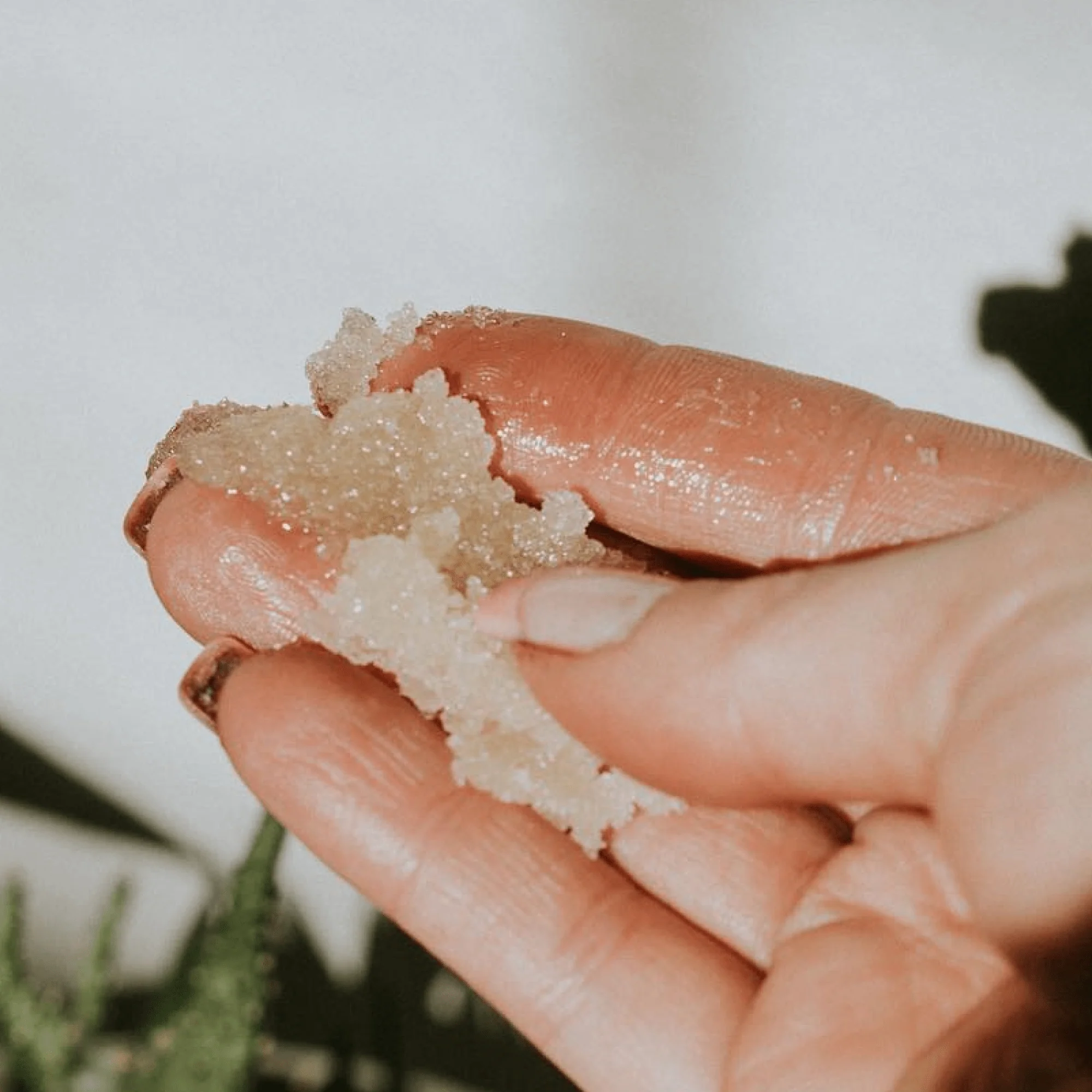 Peppermint Tea Tree Body Scrub - Image 3