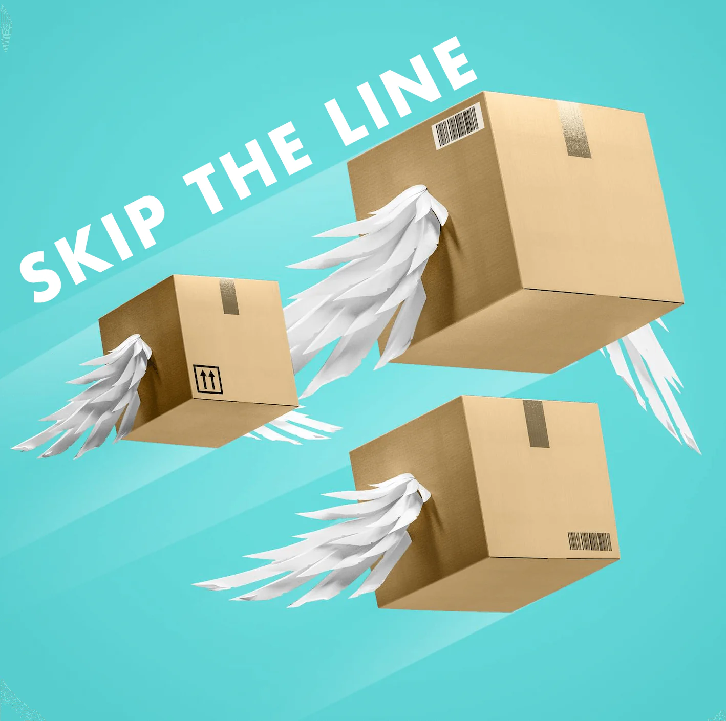 Skip the line - Image 2