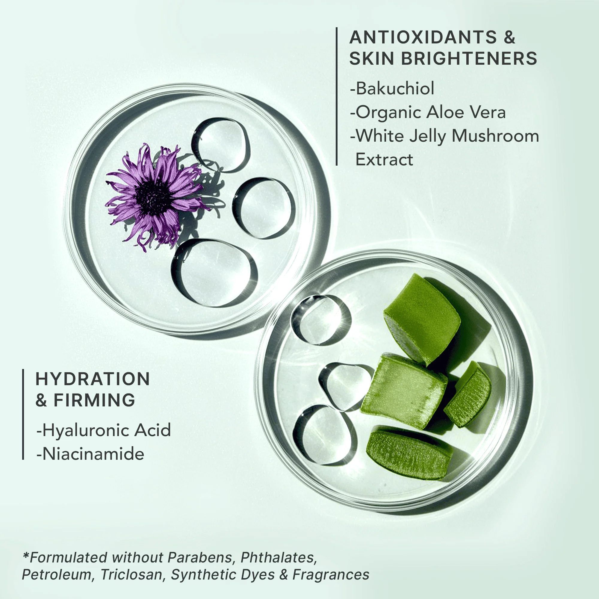 YouthRestoration Bakuchiol Face Moisturizer - Image 10